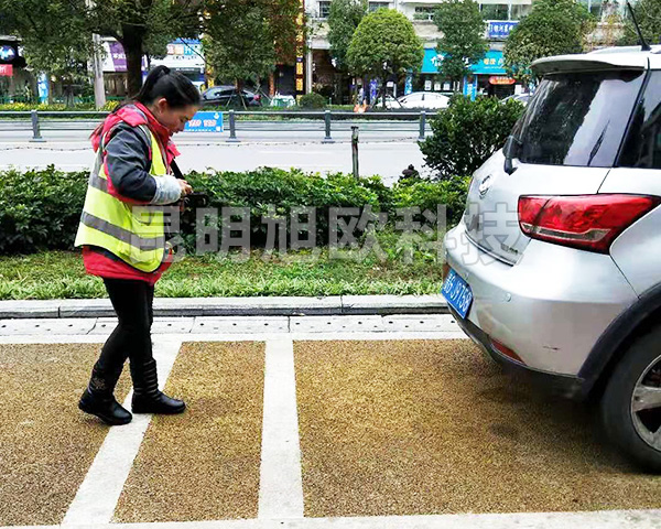 貴州安順市路邊停車收費(fèi)系統(tǒng)